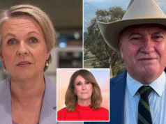 „Dajecie nam powód do narzekań”: Barnaby Joyce i Tanya Plibersek wybuchają w „Sunrise”