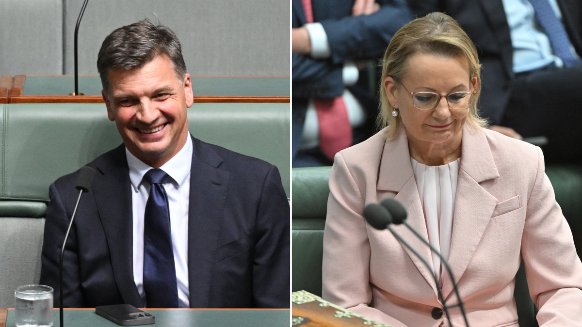 Angus Taylor zostaje liderem Partii Liberalnej po usunięciu Sussan Ley