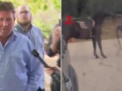 Skoczek przez przeszkody z Adelaide Hills Anthony Thomas został uznany za winnego okrucieństwa wobec zwierząt po nagraniu filmu uderzającego konia hełmem