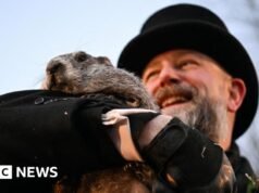 Punxsutawney Phil pojawia się na Dniu Świstaka