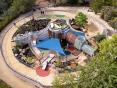 „Mnóstwo Redbacków”: Mieszkańcy Melville odkrywają, że plac zabaw w Piney Lakes jest pełen jadowitych pająków