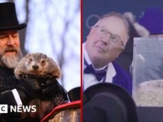 Stany Zjednoczone i Kanada kłócą się po tym, jak świstaki nie zgadzają się co do prognozy pogody