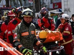 W Meksyku przeprowadzane są ćwiczenia po trzęsieniu ziemi z udziałem psów poszukiwawczych i ratowników