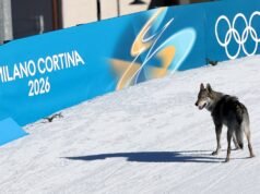 Pies rozbił się podczas sprinterskiego wyścigu kobiecej drużyny olimpijskiej, przekraczając linię mety w dzikiej scenie