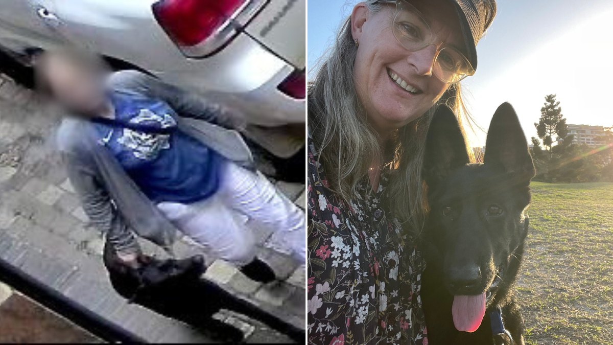 Zrozpaczona rodzina po tym, jak szczeniak rzekomo został skradziony z domu w Redfern w biały dzień