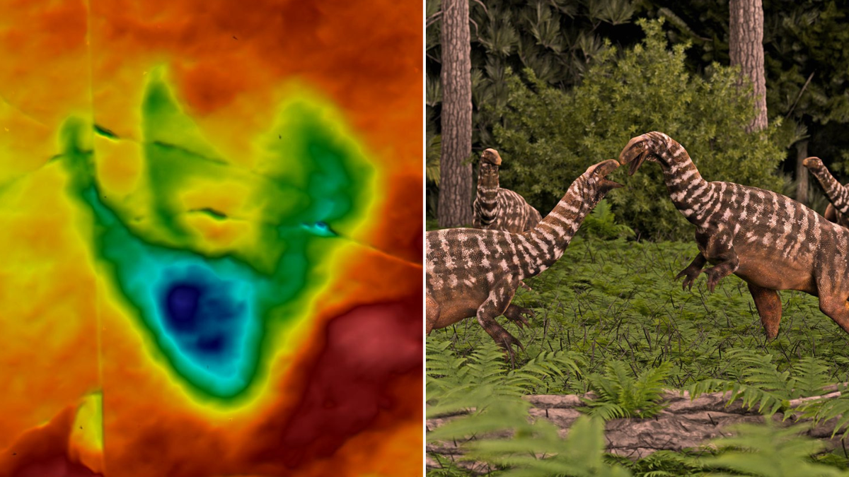 Ślad dinozaura znaleziony w Brisbane potwierdził obecność najstarszej znanej skamieniałości Australii