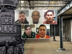 DHS twierdzi, że agitatorzy przeciwni ICE pomogli nielegalnym imigrantom-przestępcom uniknąć deportacji