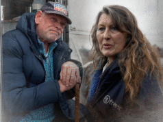 Liczba obozów dla vanów rośnie – oto dlaczego