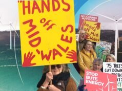 Bitwa o farmy wiatrowe: czy „blokerzy” pokonają rząd? | Wiadomości naukowe, klimatyczne i technologiczne