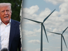 Administracja Trumpa odwołuje się od federalnej decyzji dotyczącej morskiej energetyki wiatrowej